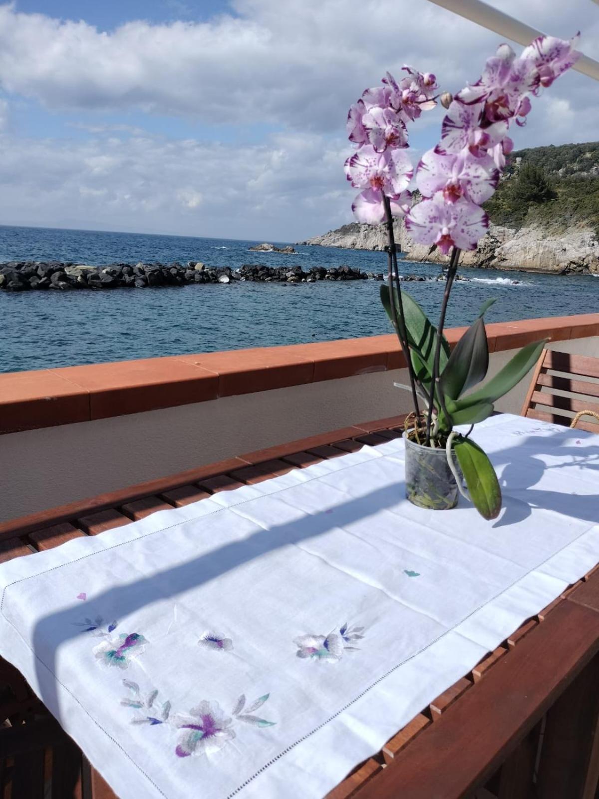 Casa Vacanza Verde Smeraldo- Massa Lubrense Exteriör bild